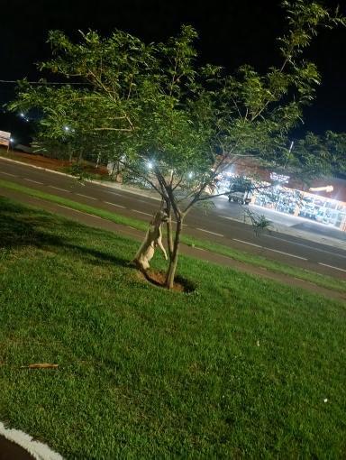 Suspeito é preso por maus-tratos após cão ser encontrado morto em Sorriso