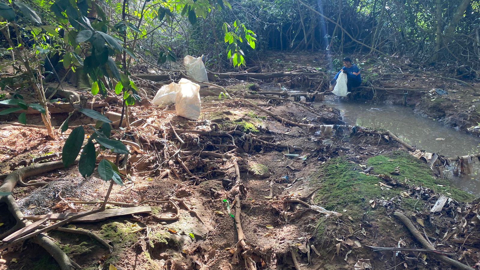 Sorriso: moradores retiram mais 800 quilos de lixo e ajudam na revitalização de nascentes do rio Lira