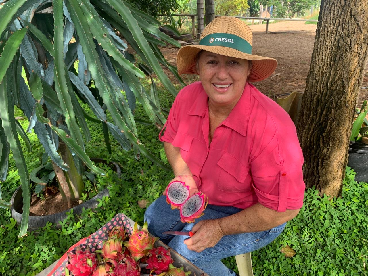 Mulheres ampliam protagonismo no campo e estimulam a produção rural na região de  Sorriso