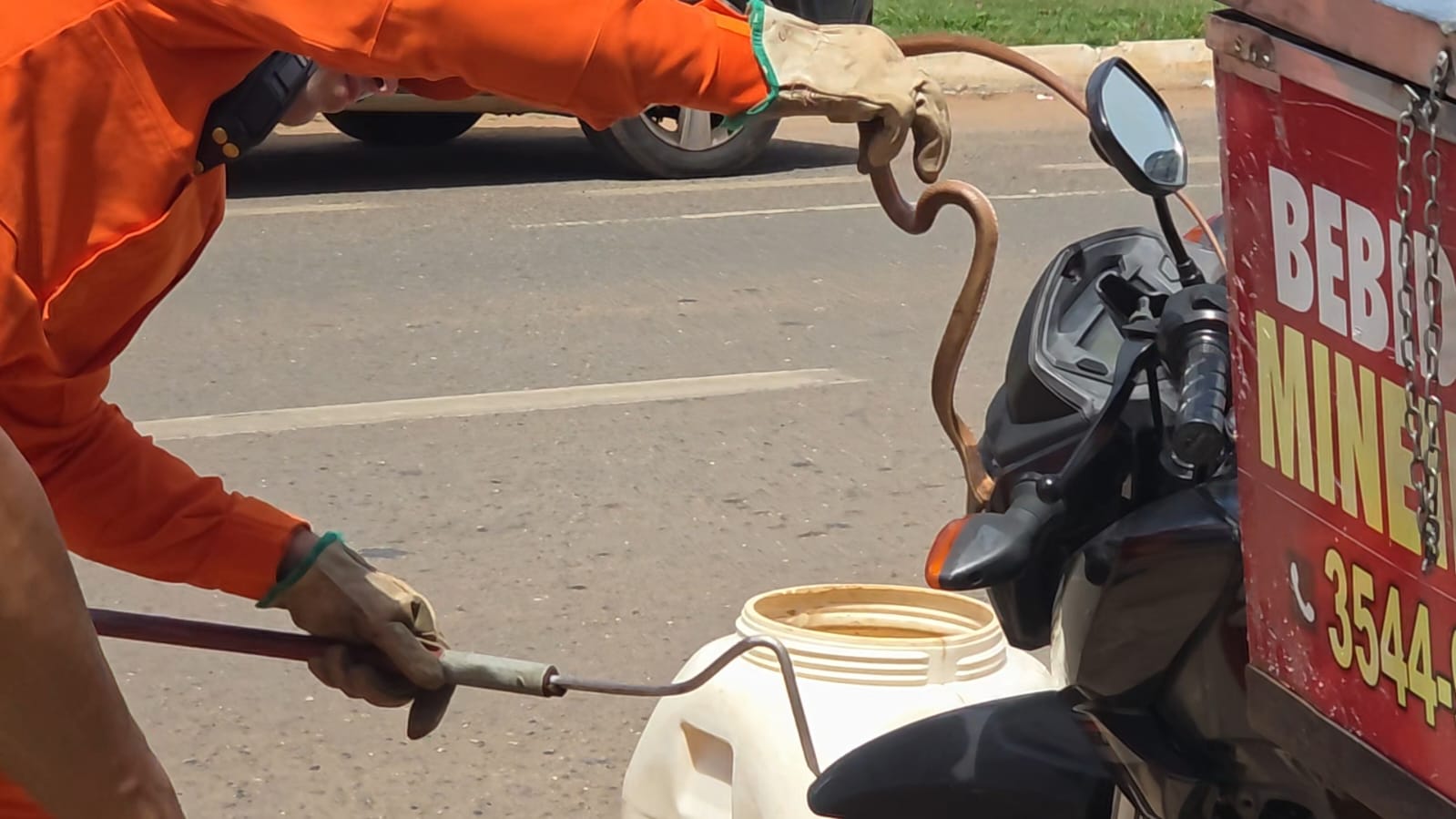 Cobra é encontrada dentro de motocicleta e mobiliza Corpo de Bombeiros em Sorriso