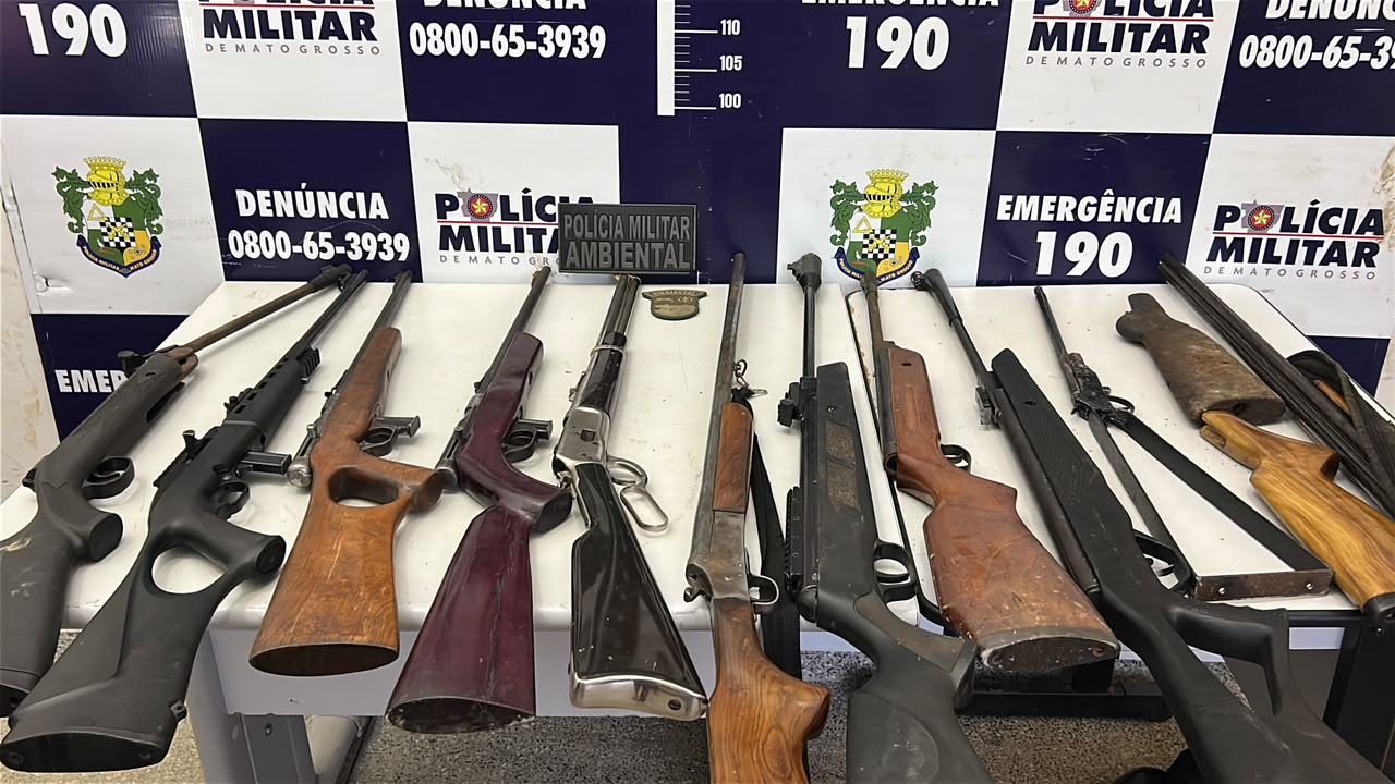 Polícia Ambiental encontra 11 armas de fogo, munições e pássaros em cativeiro na região do Rio Teles Pires
