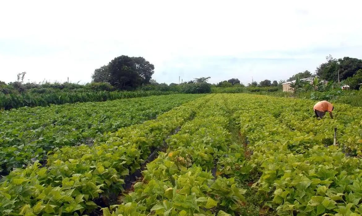Novo seguro rural amplia proteção contra perdas climáticas