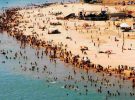 Festival-de-praia-cortado-Sinop-maio-2022-assessoria-990x556